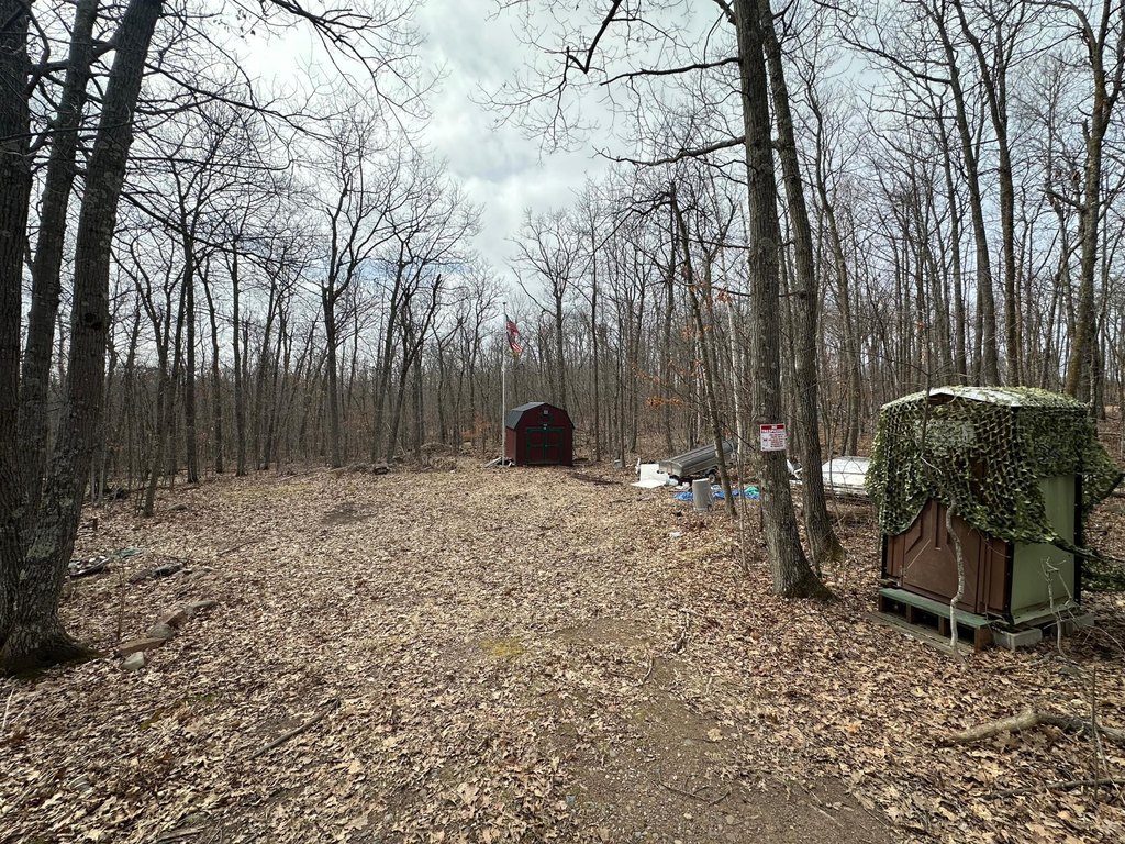 Picture 2
