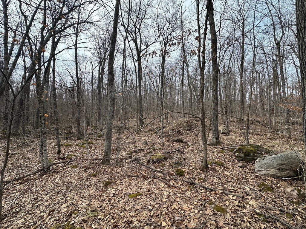 Picture 13