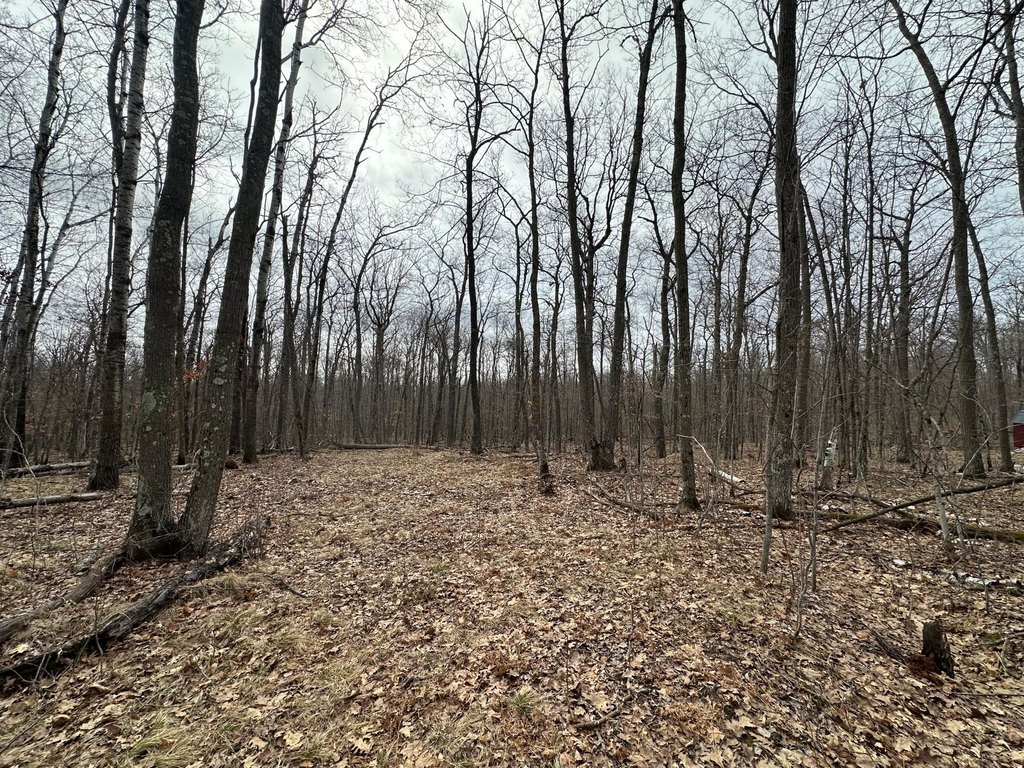 Picture 8
