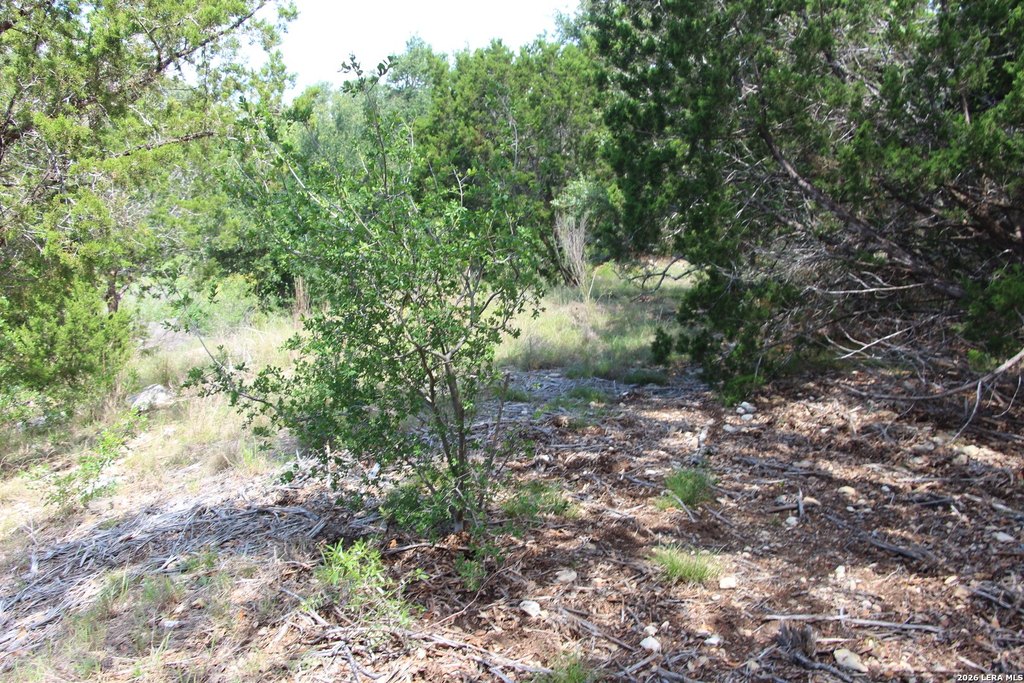 Picture 41