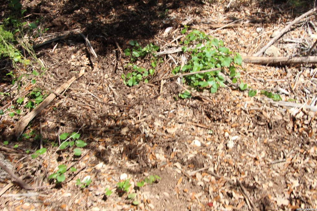 Picture 47