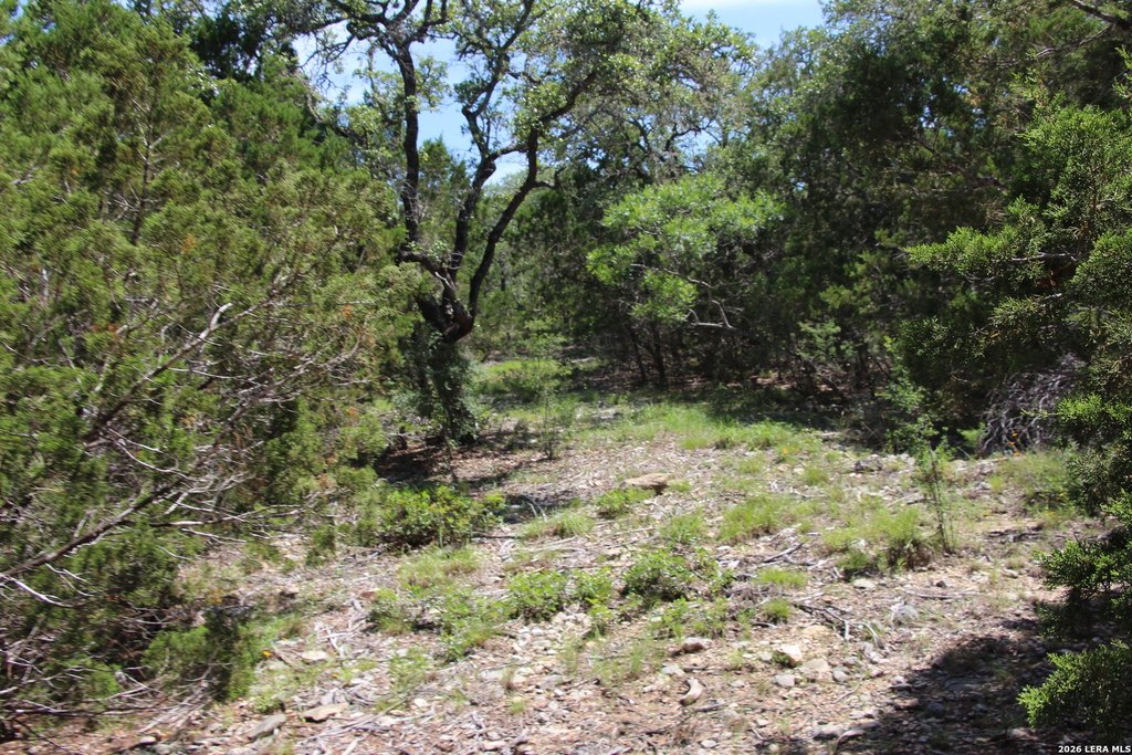 Picture 51