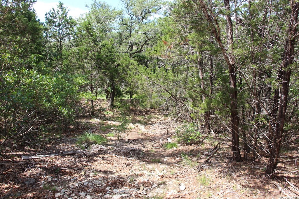 Picture 23