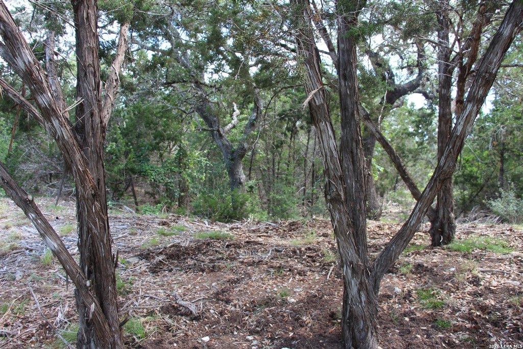 Picture 35