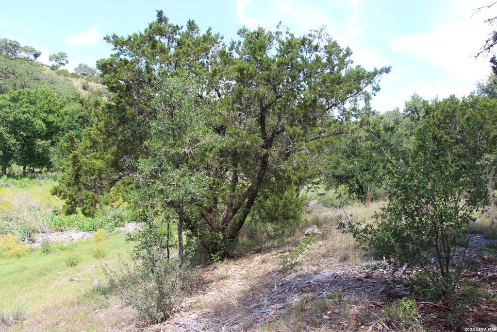 Picture 40