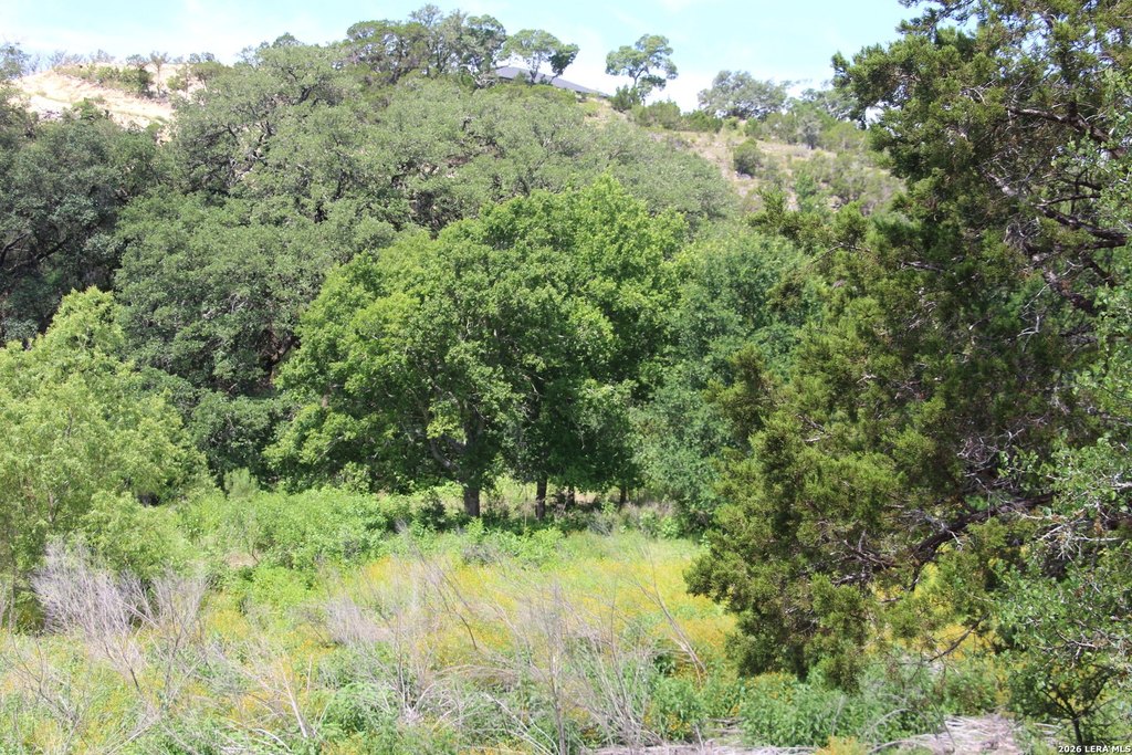 Picture 39