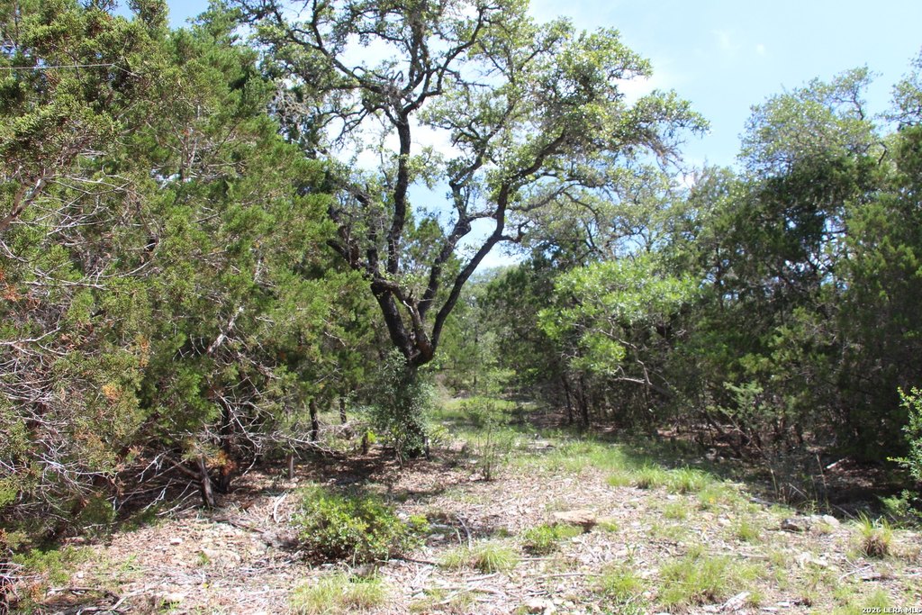 Picture 24