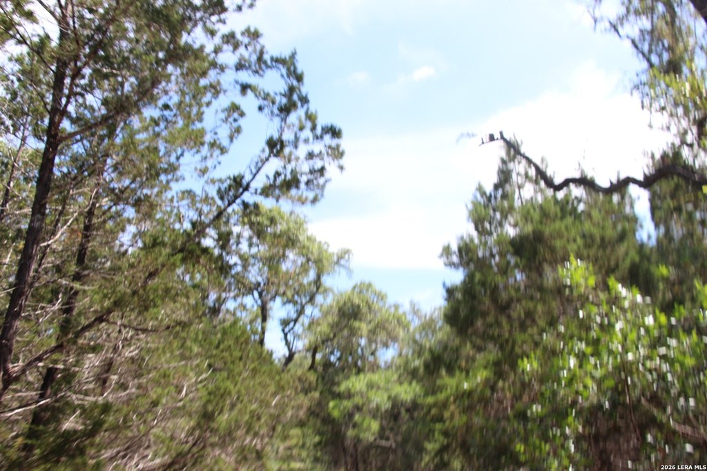 Picture 50