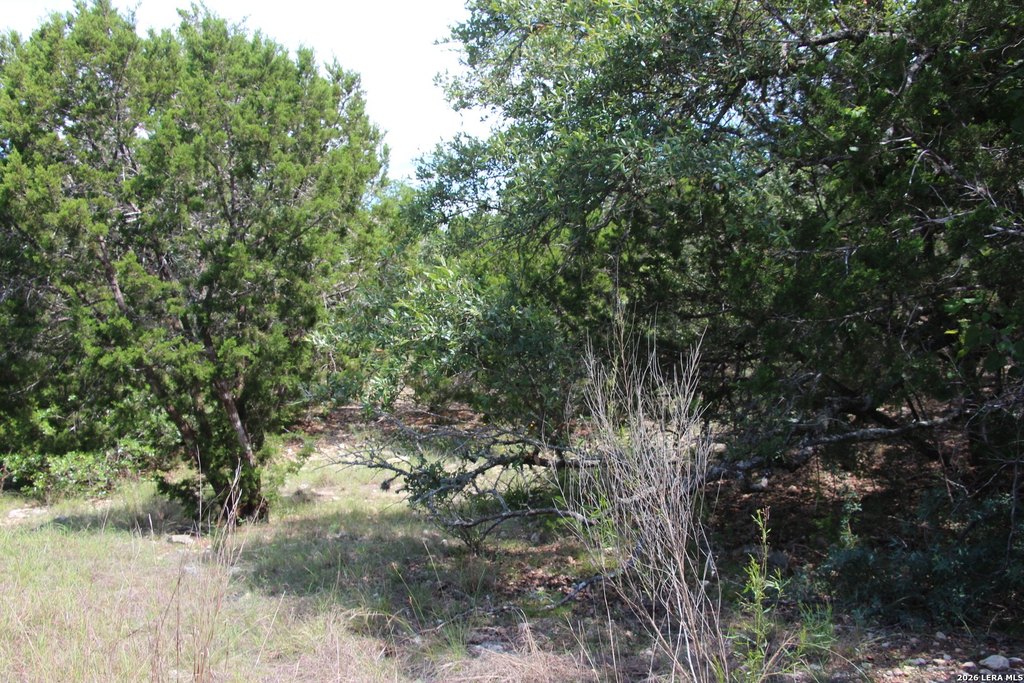 Picture 43
