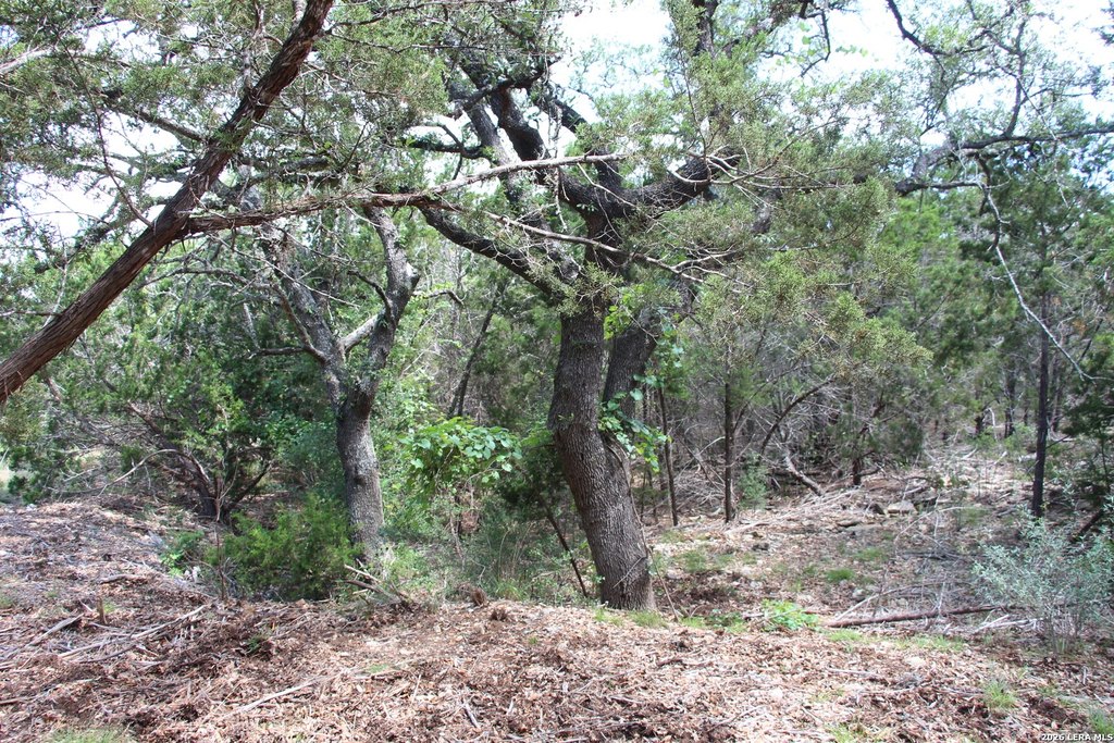 Picture 38