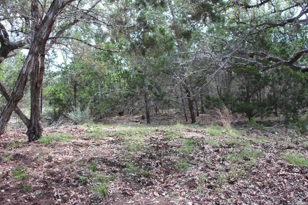 Picture 36