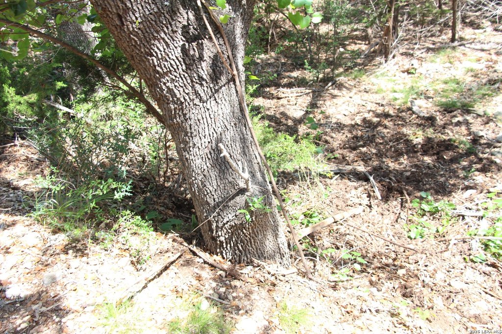 Picture 46