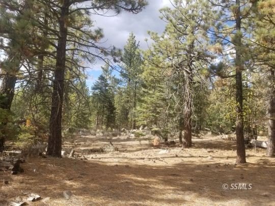 Mountain Land in Caliente, CA