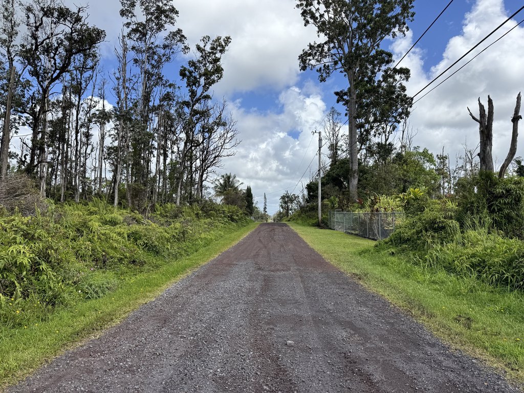 Picture 5