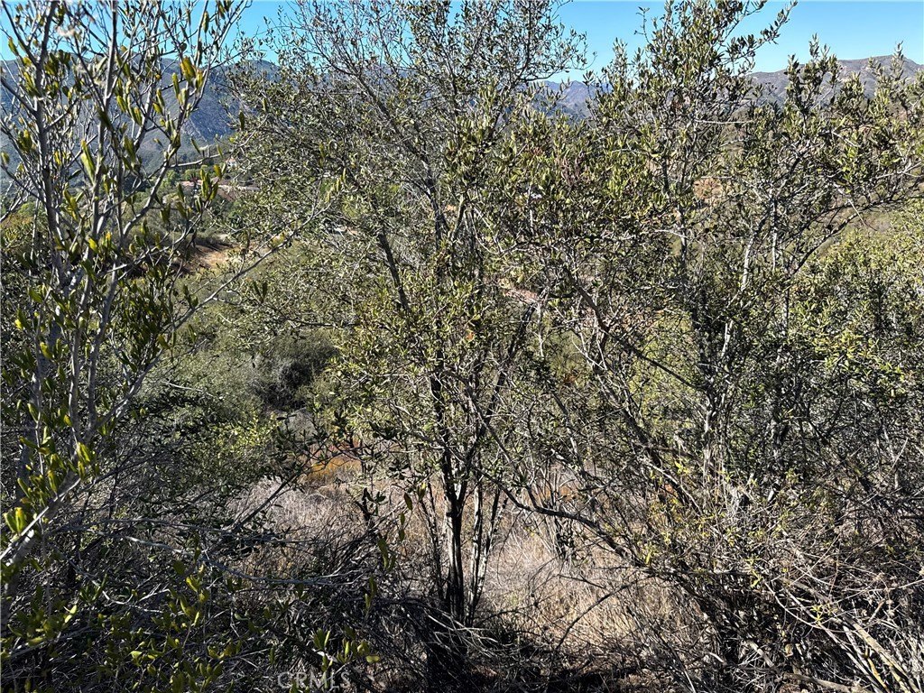 Picture 23
