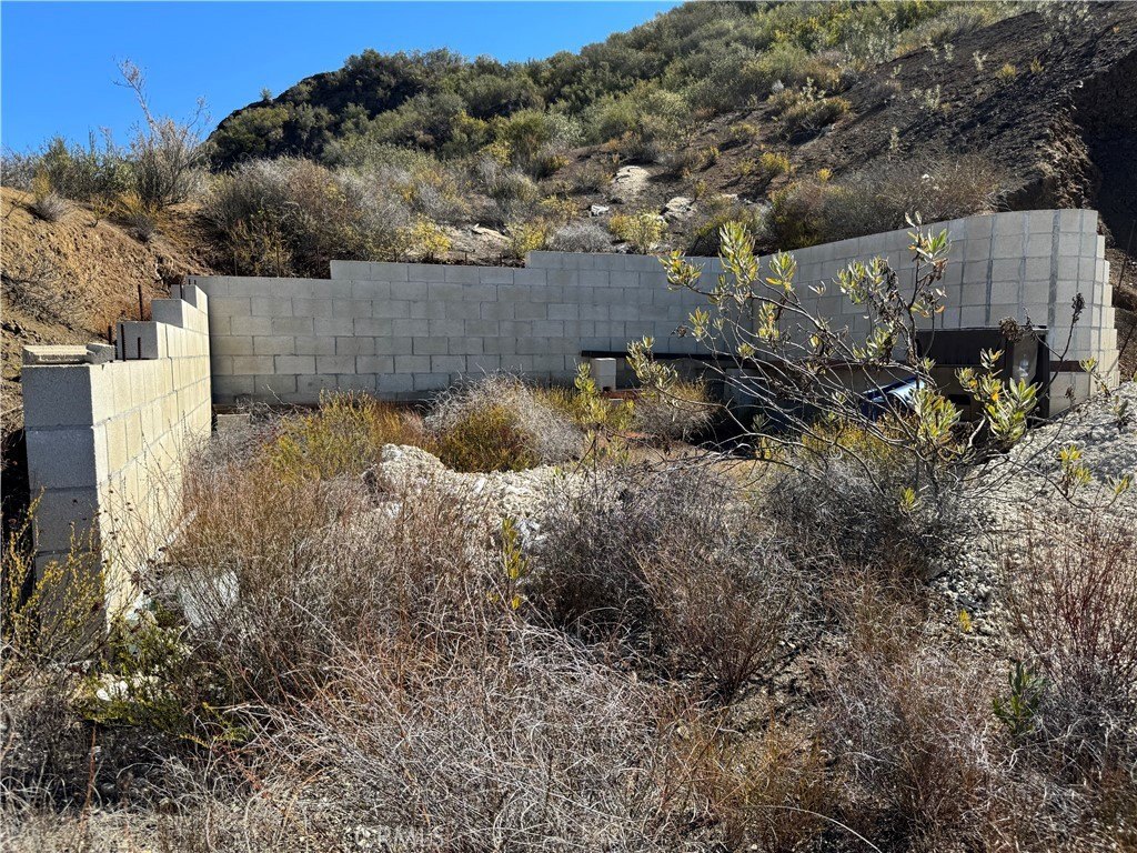 Picture 19