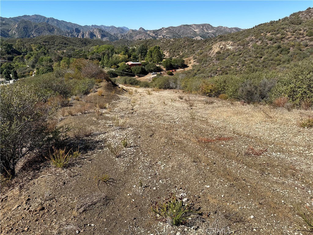 Picture 24