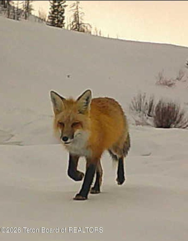 Picture 10