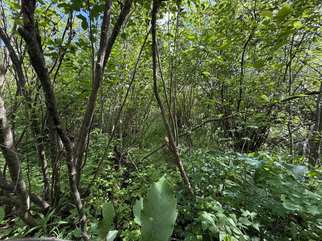 Picture 18
