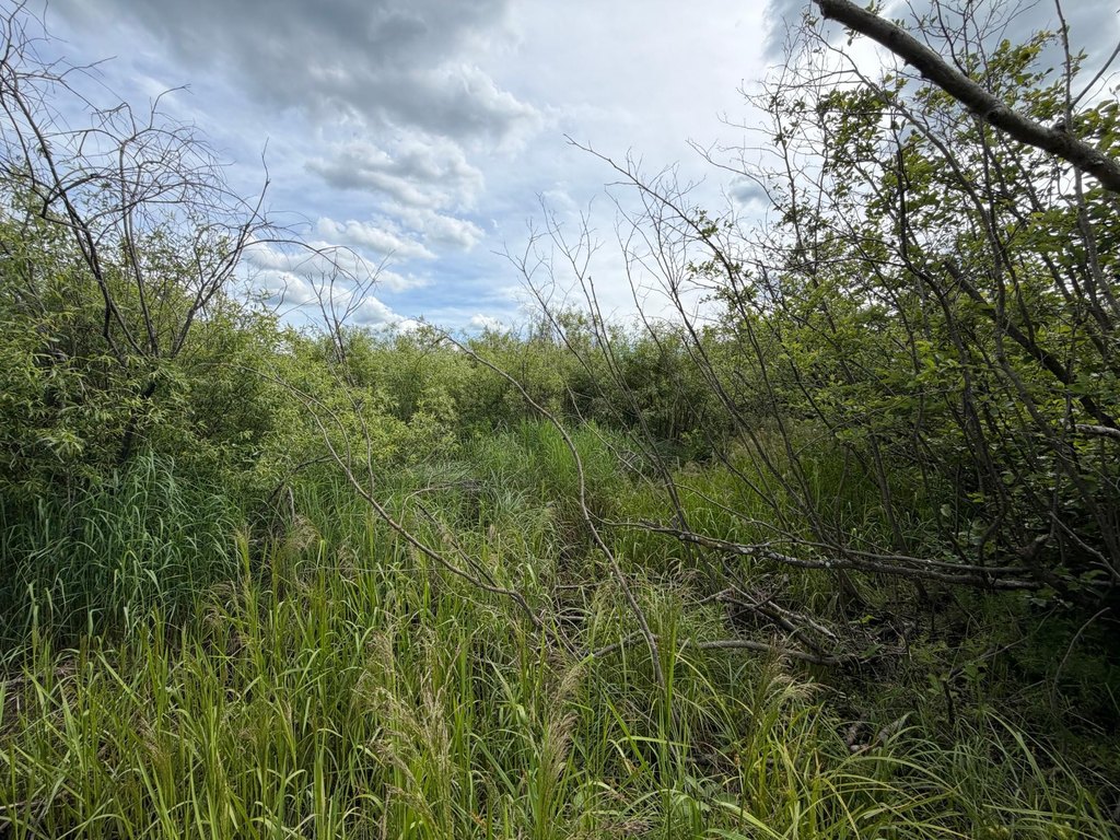Picture 14