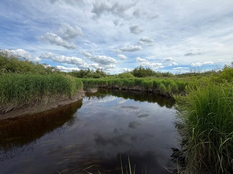 Hunting Land with River Throughway