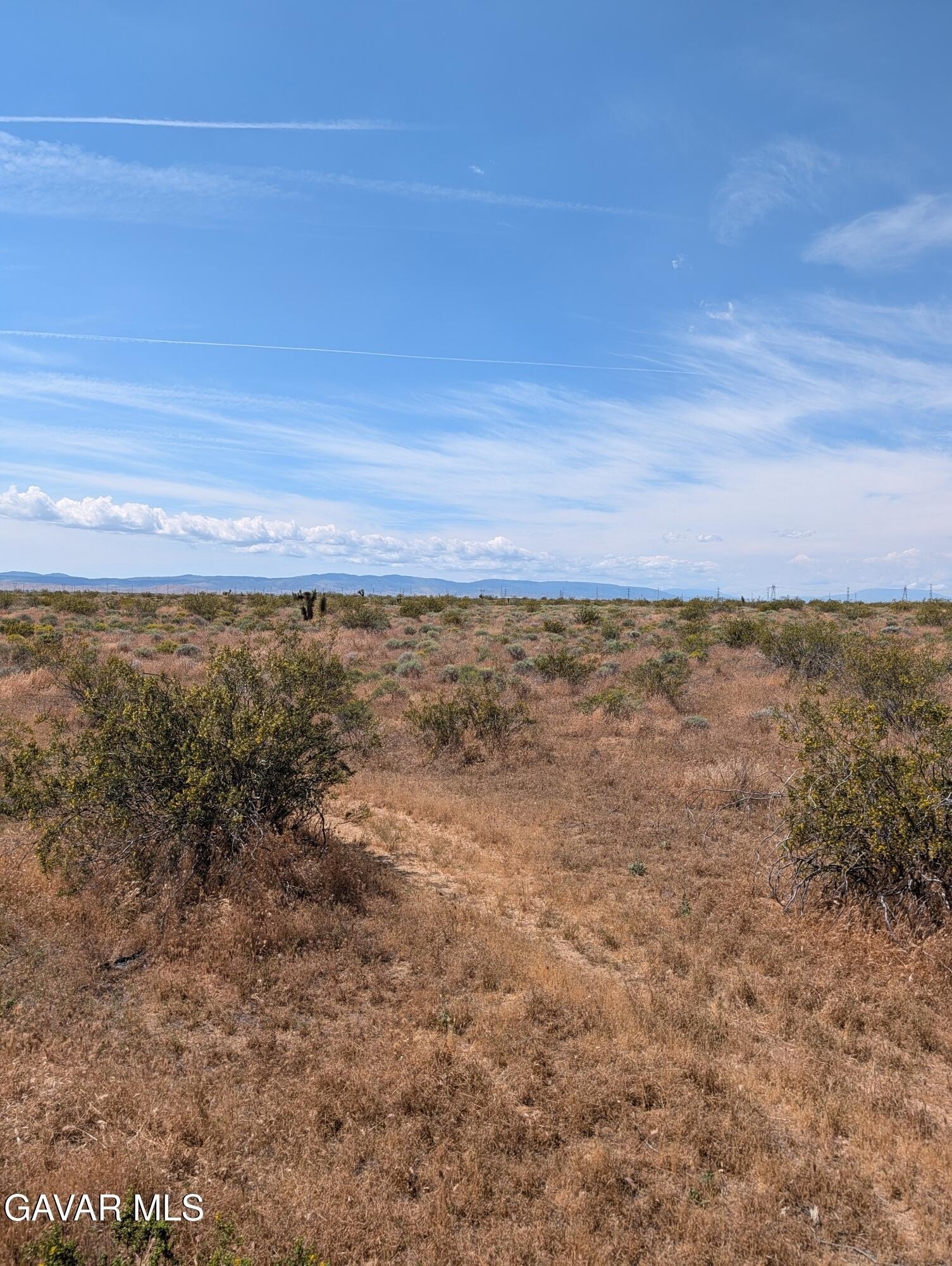 Rosamond Land Investment Opportunity