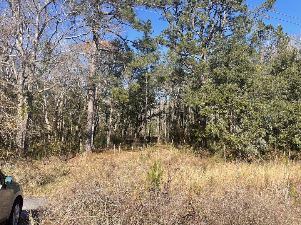 Picture 14