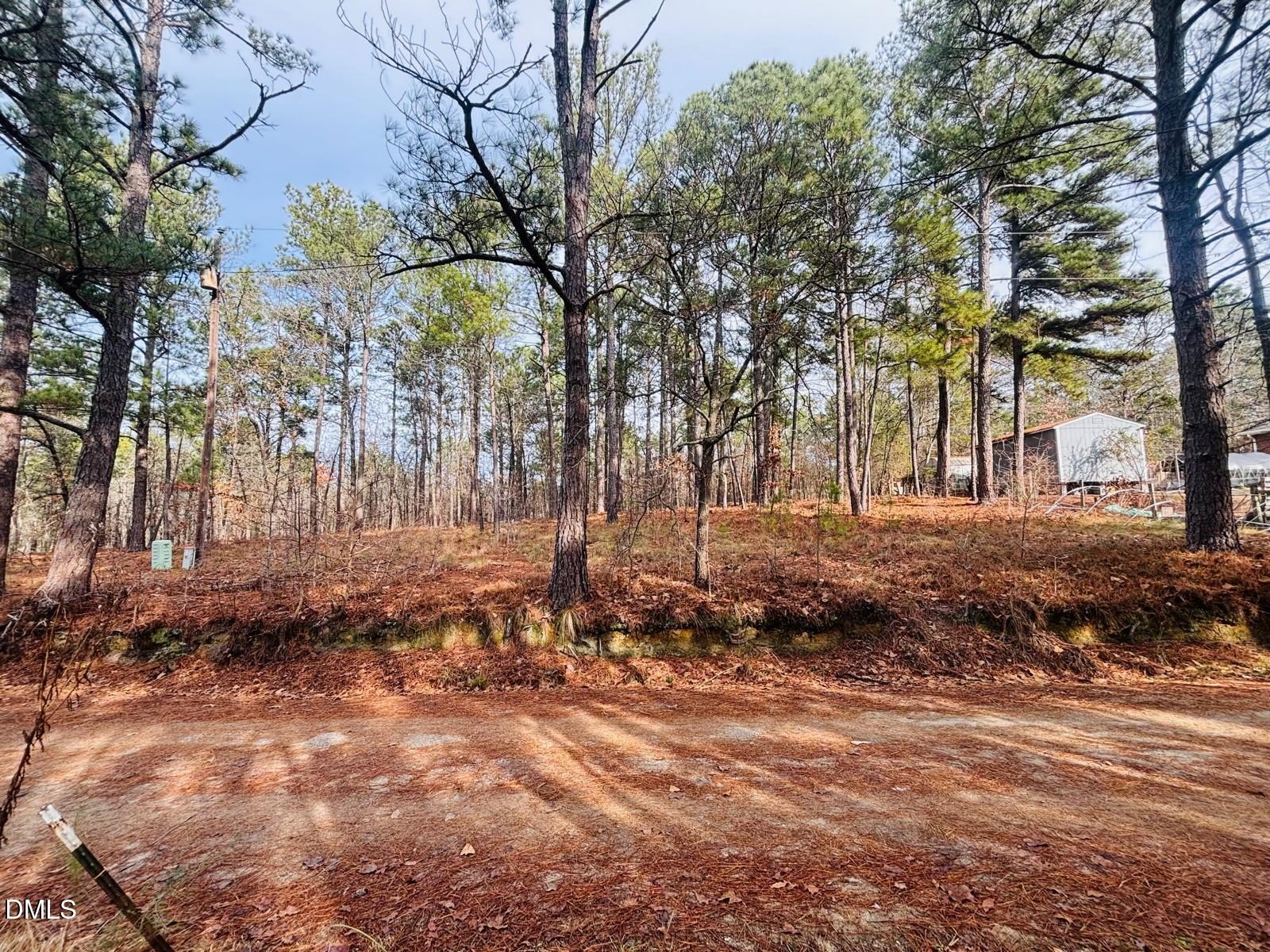 Land For Sale, Cameron, NC