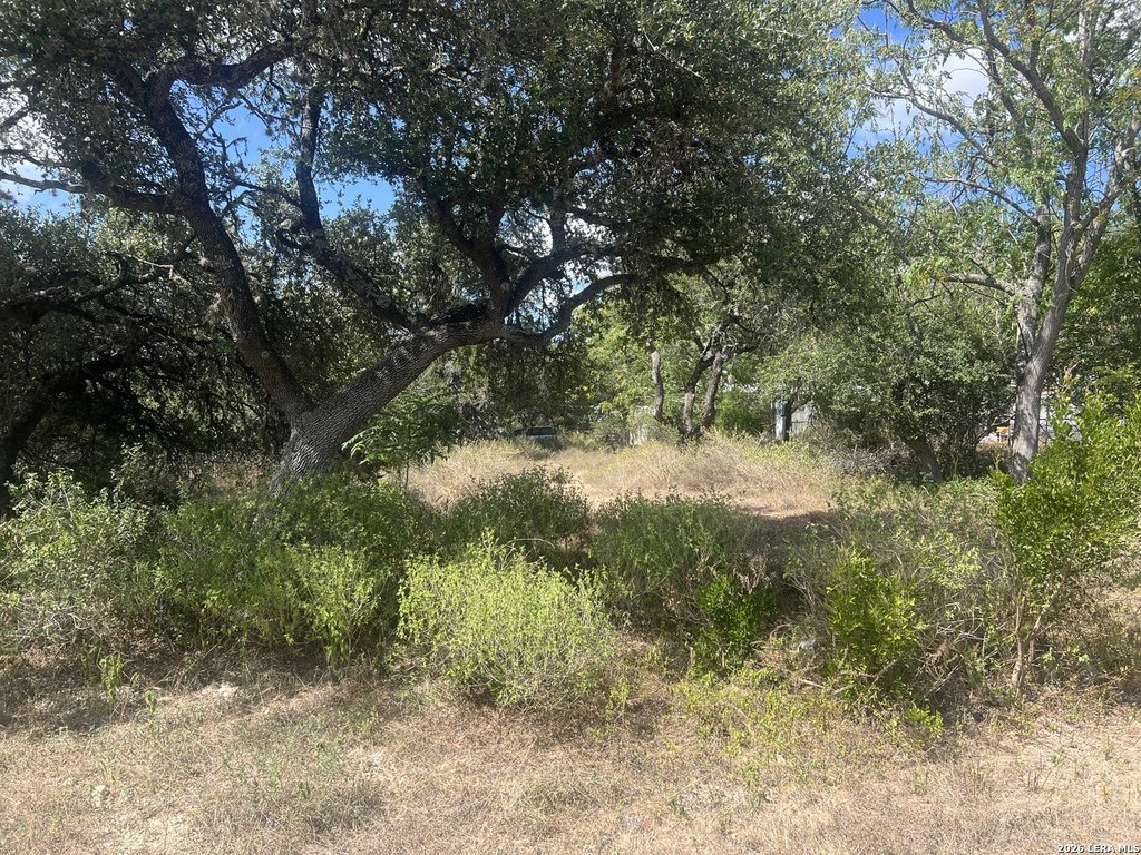 Picture 10