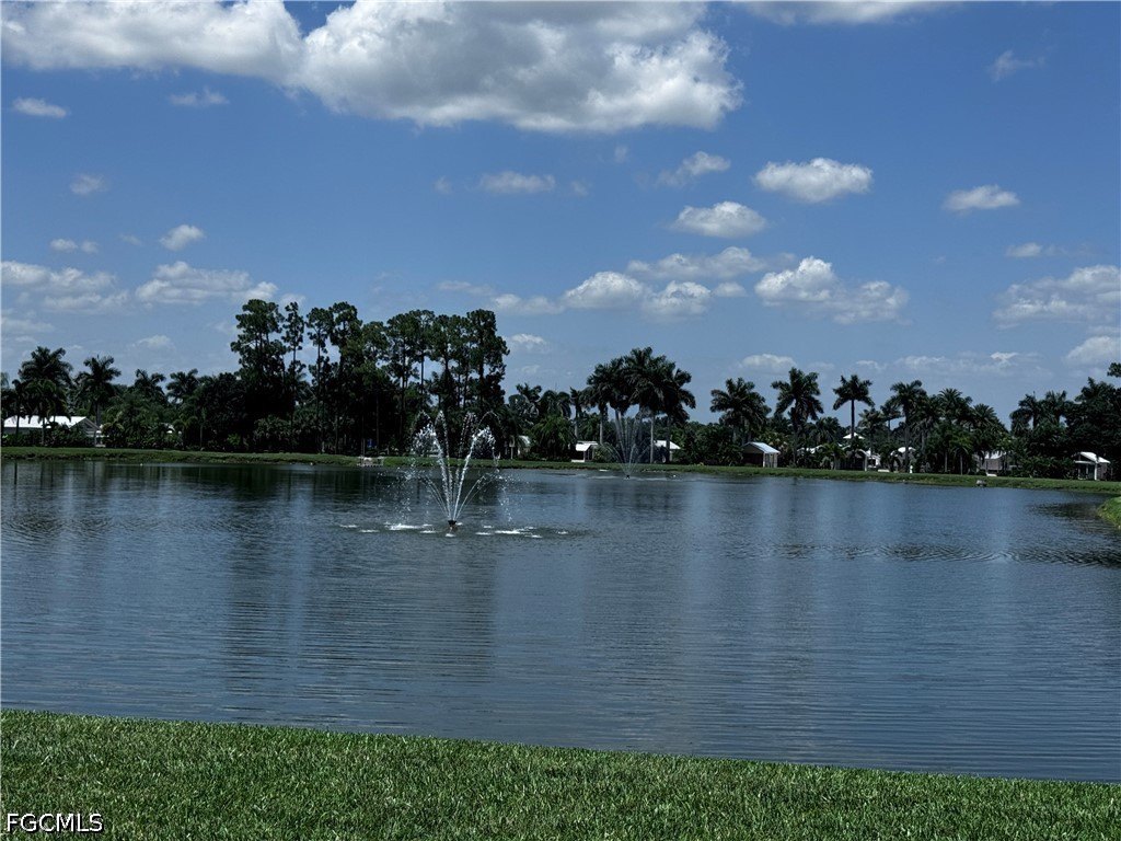 Picture 25