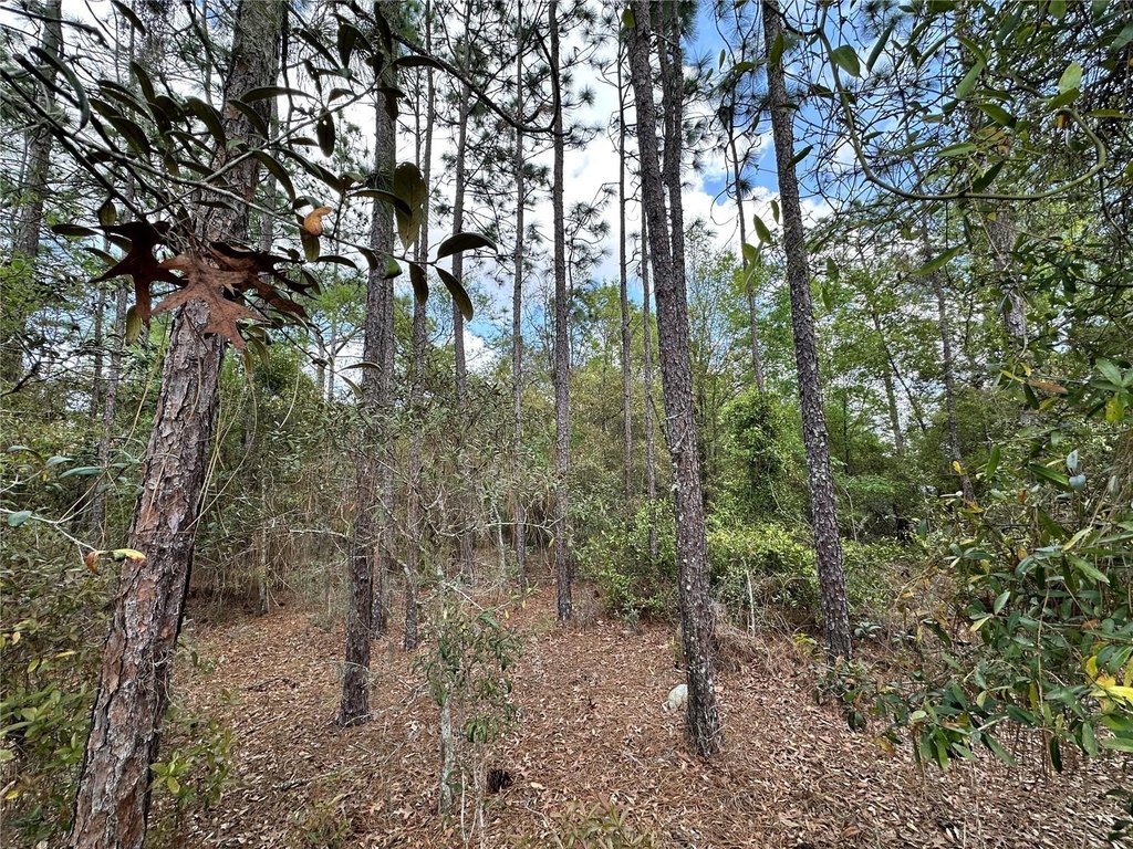 Picture 9