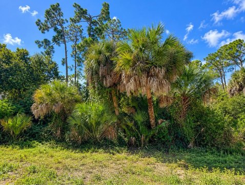 Land, PORT CHARLOTTE, FL