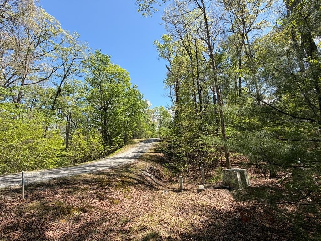 Morganton, GA Vacant Lot