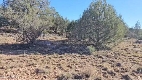 Seligman Land For Home Office