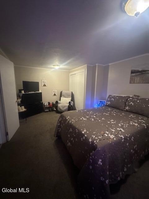 Picture 28