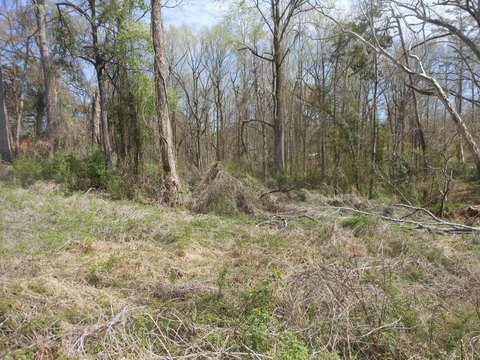 Residential Land in Pontotoc, MS
