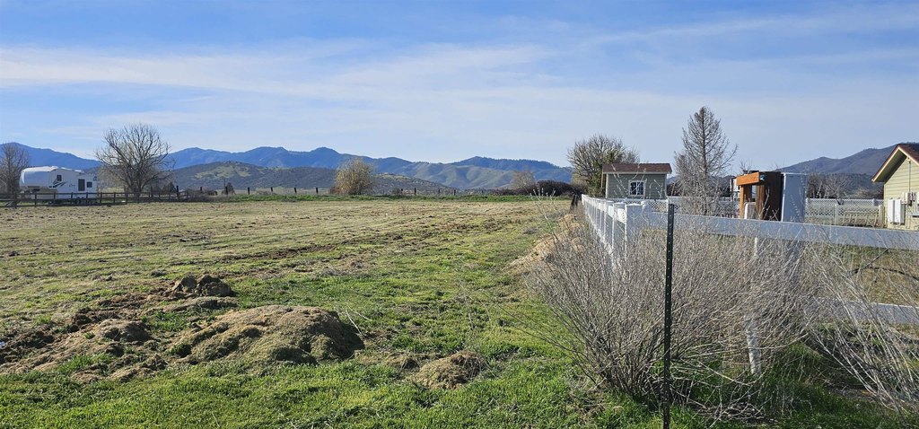 Picture 4