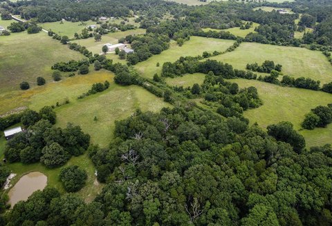 Agricultural Land Tract with Pines