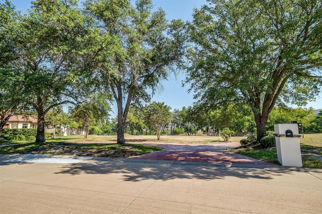 Picture 21