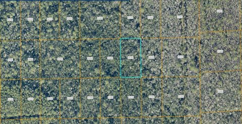 Land, LAKE HELEN, FL