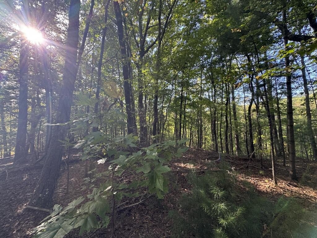 Picture 18