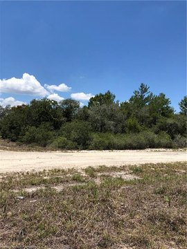 Land, Lake Placid, FL