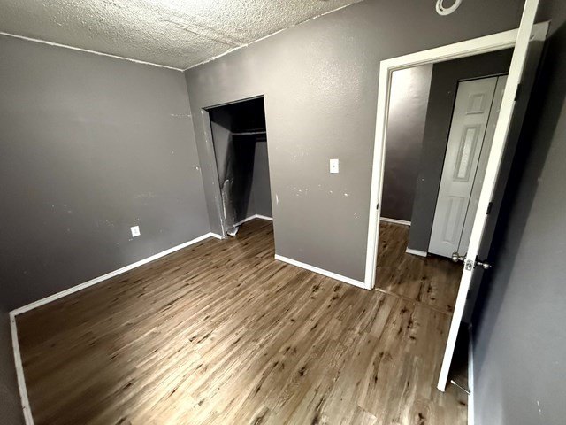 Picture 11