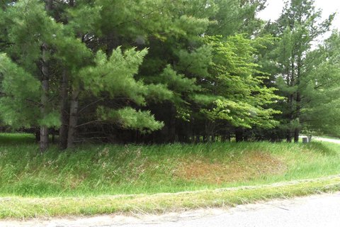 Vacant Land in Sugar Springs