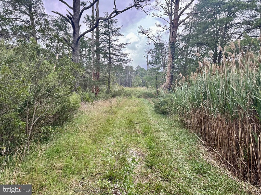 Picture 22