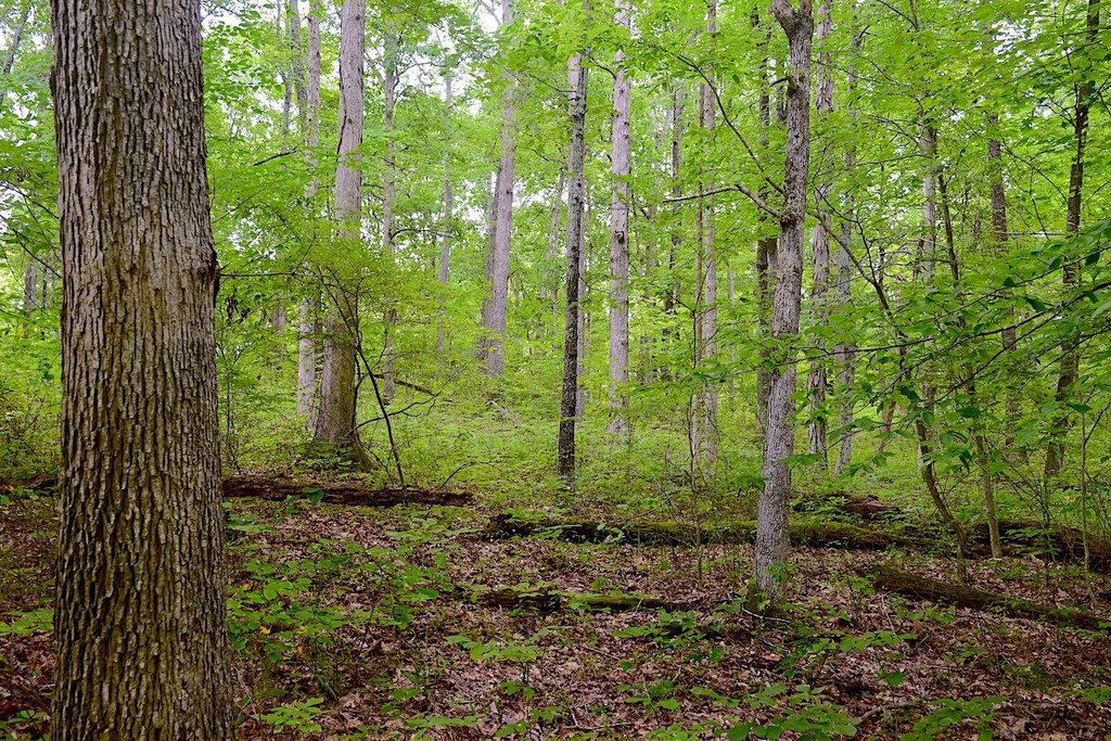 Picture 16