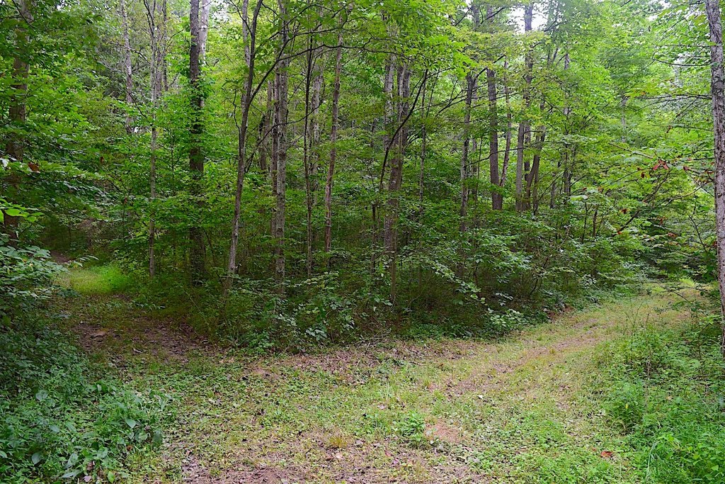Picture 27