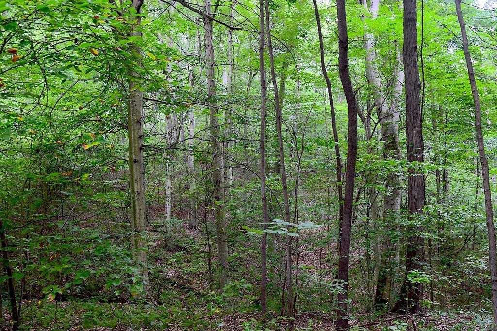 Picture 18
