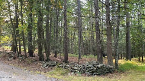Wooded Lot Near Lake Wallenpaupack