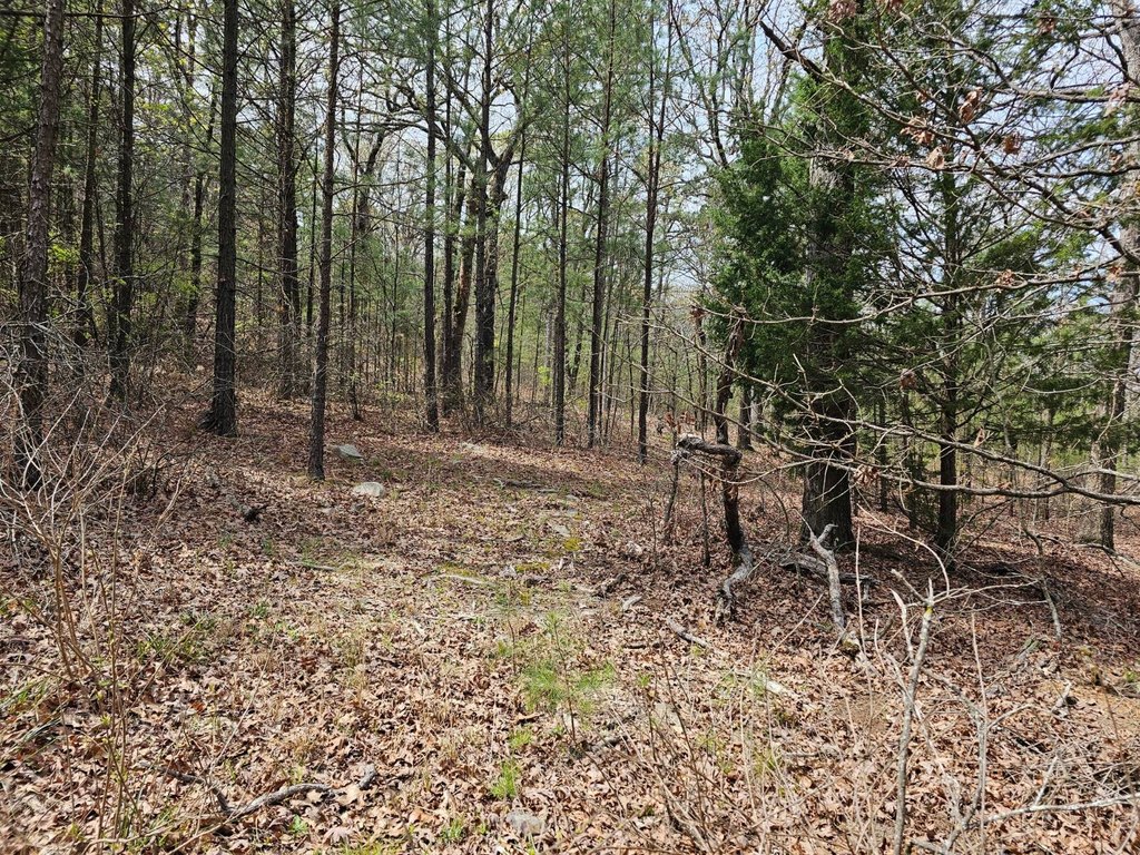 Picture 15
